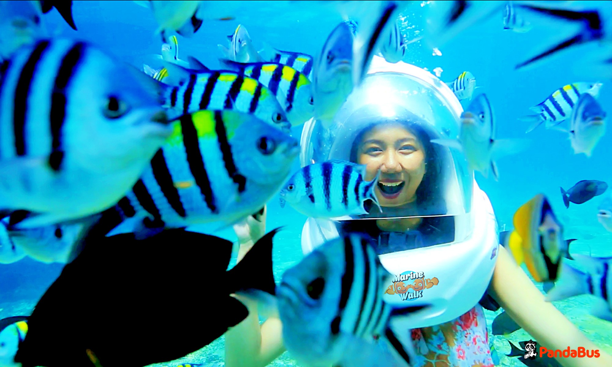 *海底での散歩時間は約15分です。 この15分という時間は、未経験のお客様にとって最も安全とされている時間設定となります。 ※マリンウォークはお子様は8歳以上が参加可能となります。